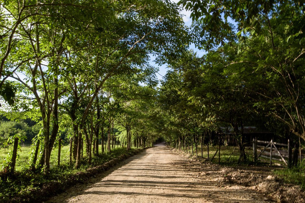 Villas Adriana, بالينكو المظهر الخارجي الصورة